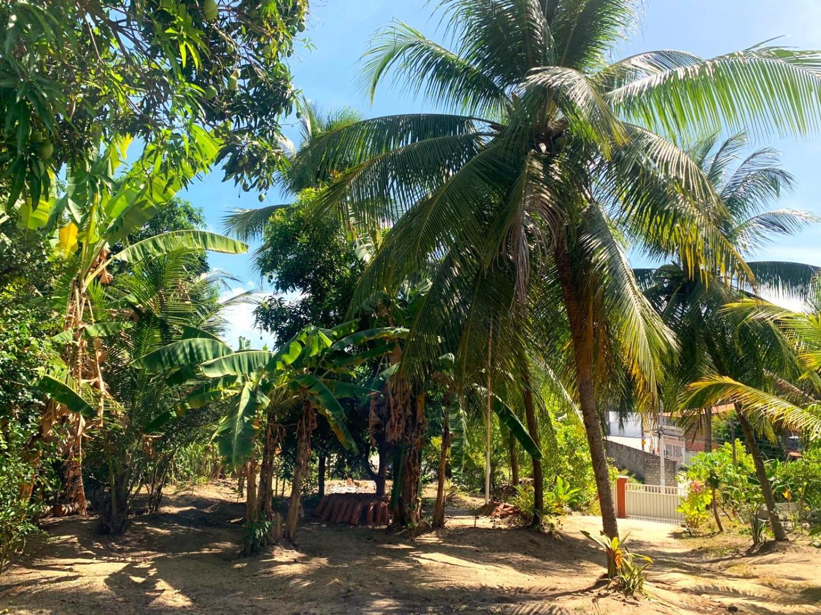 Jacarecica Haus Hotell Maceió Eksteriør bilde